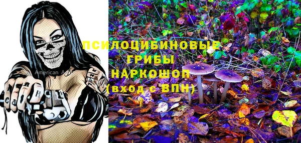 a pvp Надым