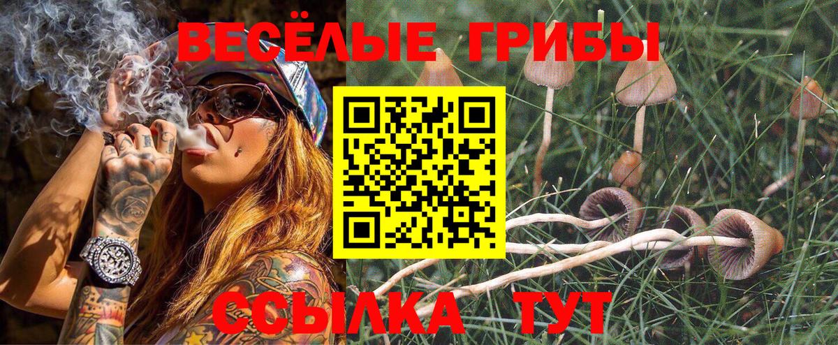 Галлюциногенные грибы прущие грибы  Вход с VPN  Нижний Тагил 
